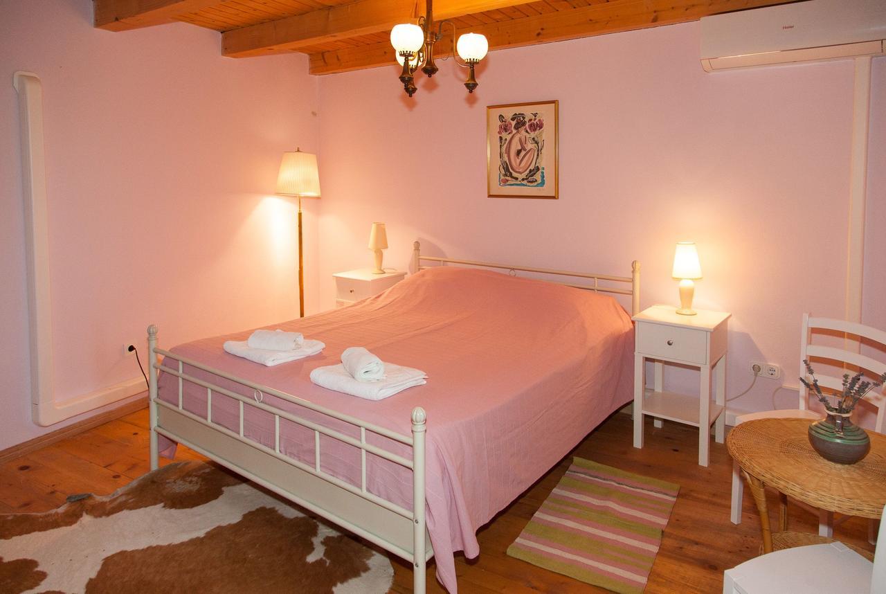 Apartment Villa Visnjan Residence Višnjan